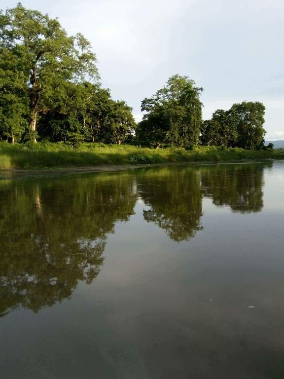 Unique Wild Resort Sauraha Bagian luar foto