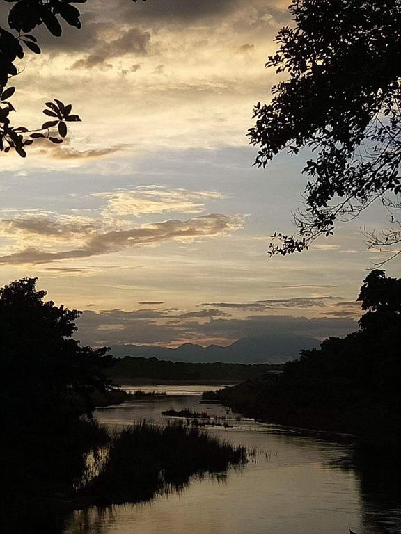 Unique Wild Resort Sauraha Bagian luar foto