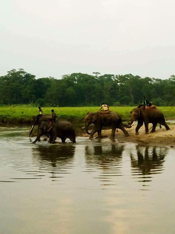 Unique Wild Resort Sauraha Bagian luar foto