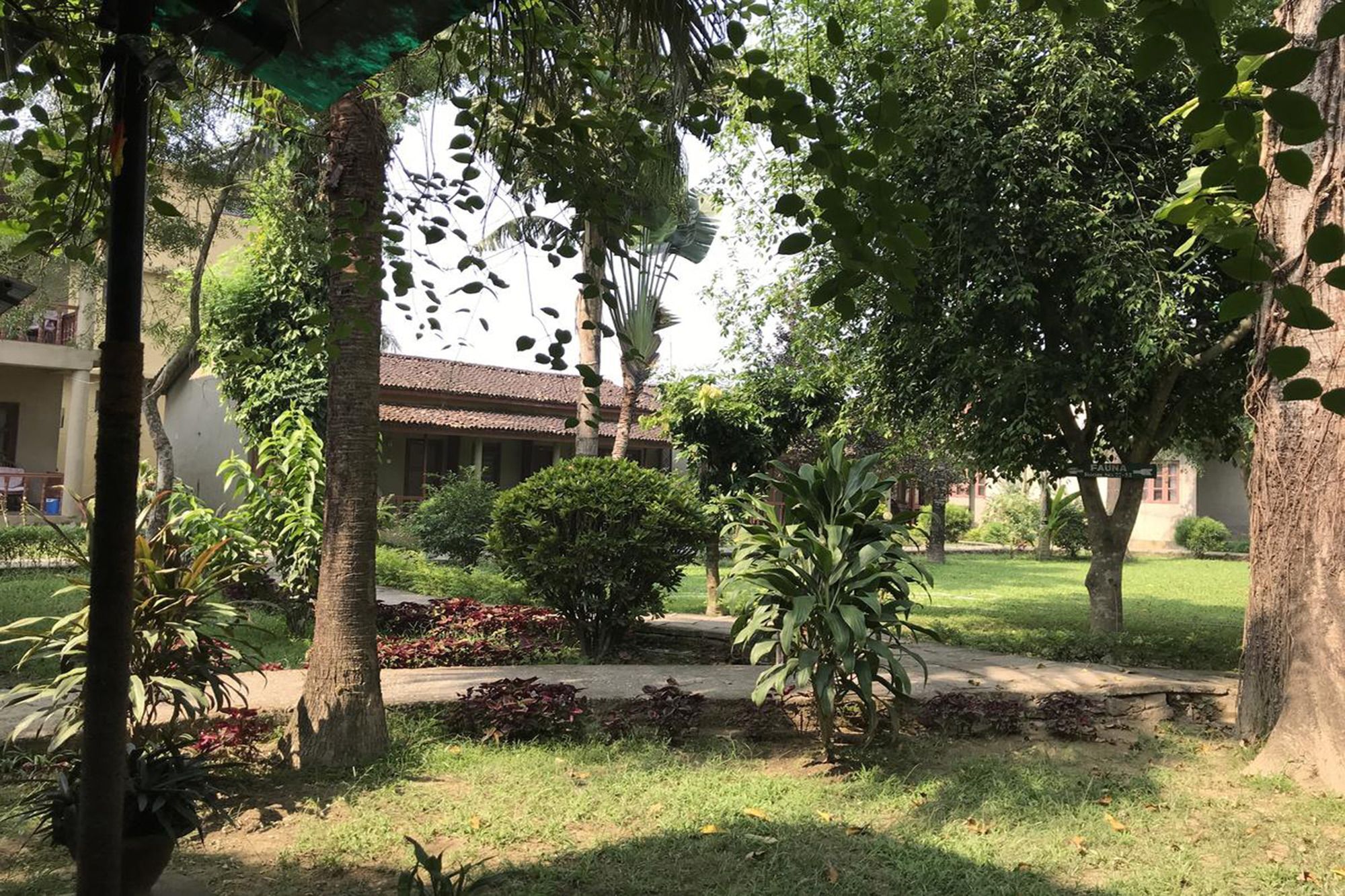 Unique Wild Resort Sauraha Bagian luar foto