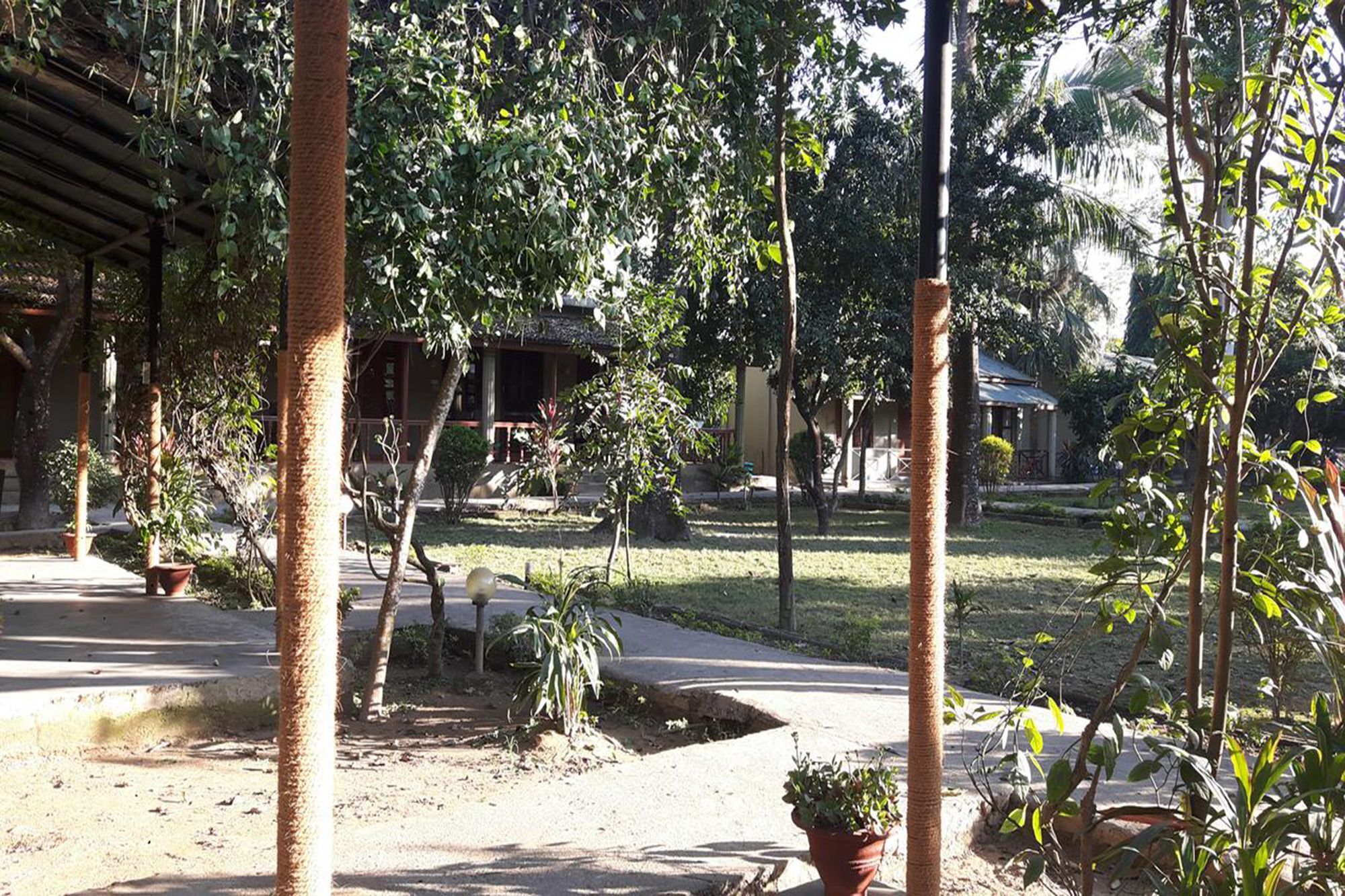 Unique Wild Resort Sauraha Bagian luar foto