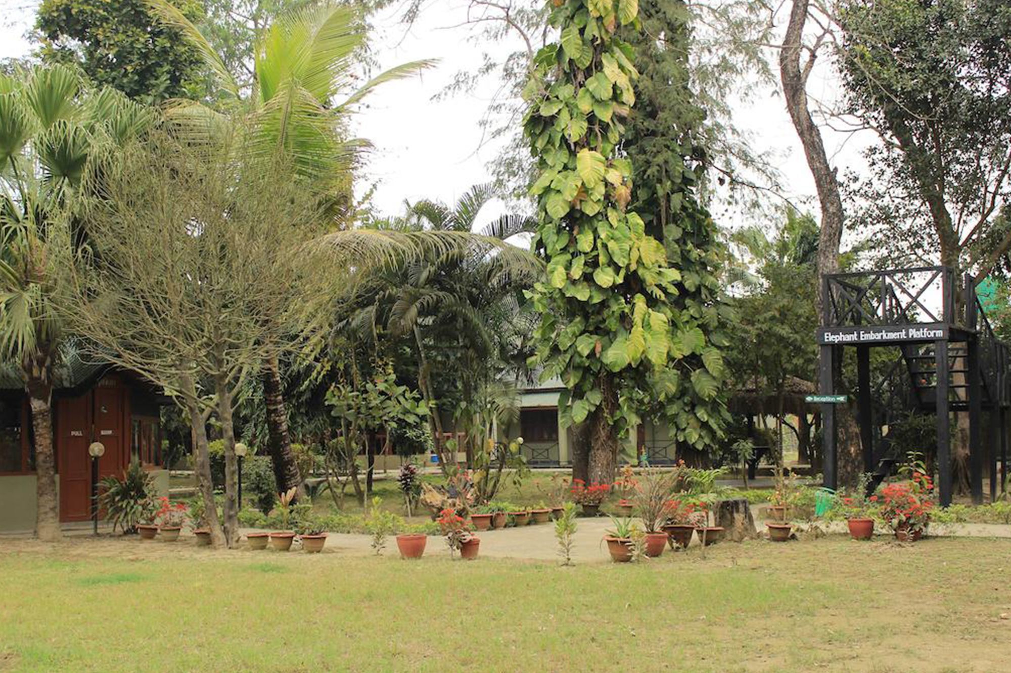 Unique Wild Resort Sauraha Bagian luar foto