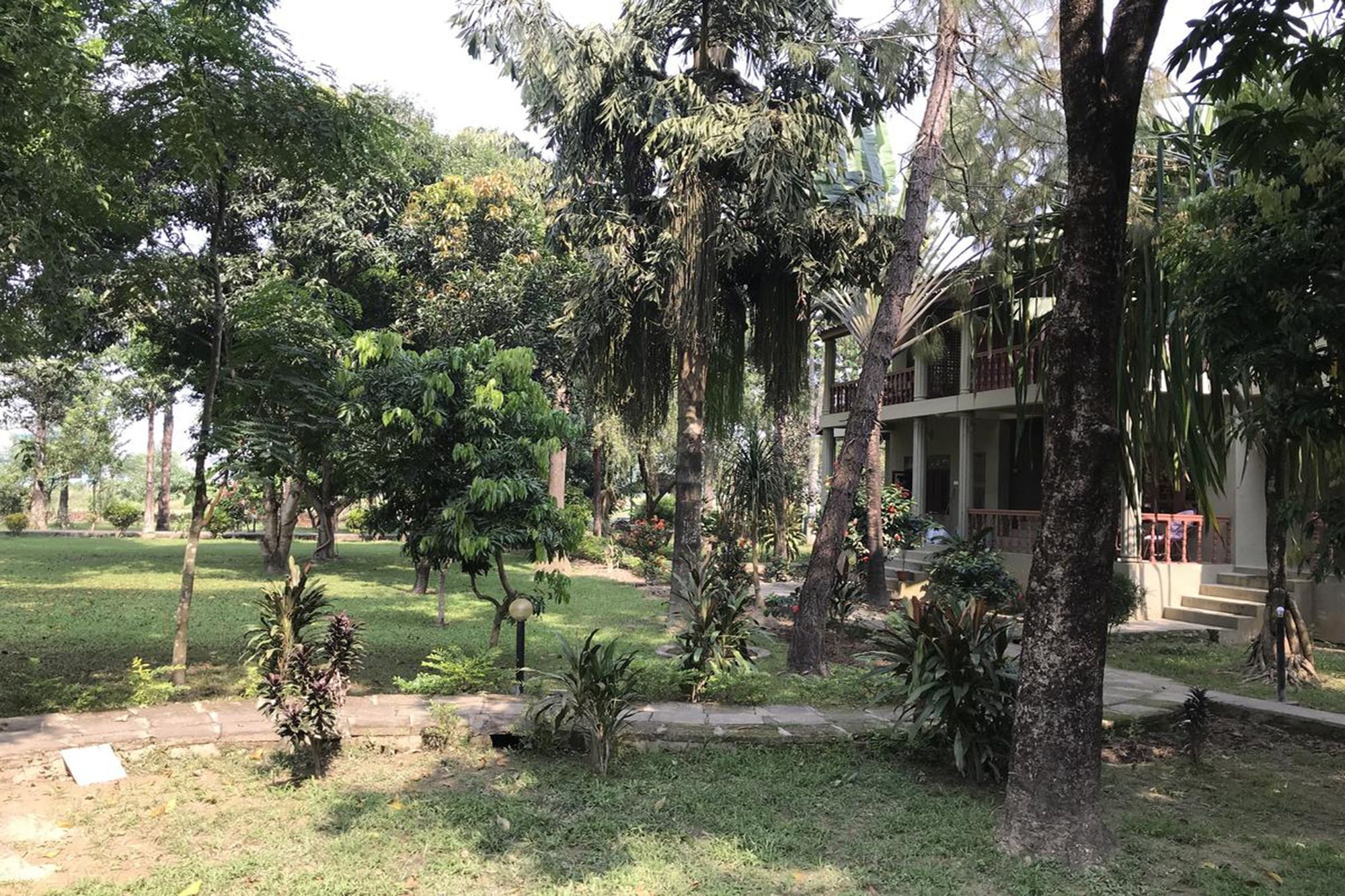 Unique Wild Resort Sauraha Bagian luar foto