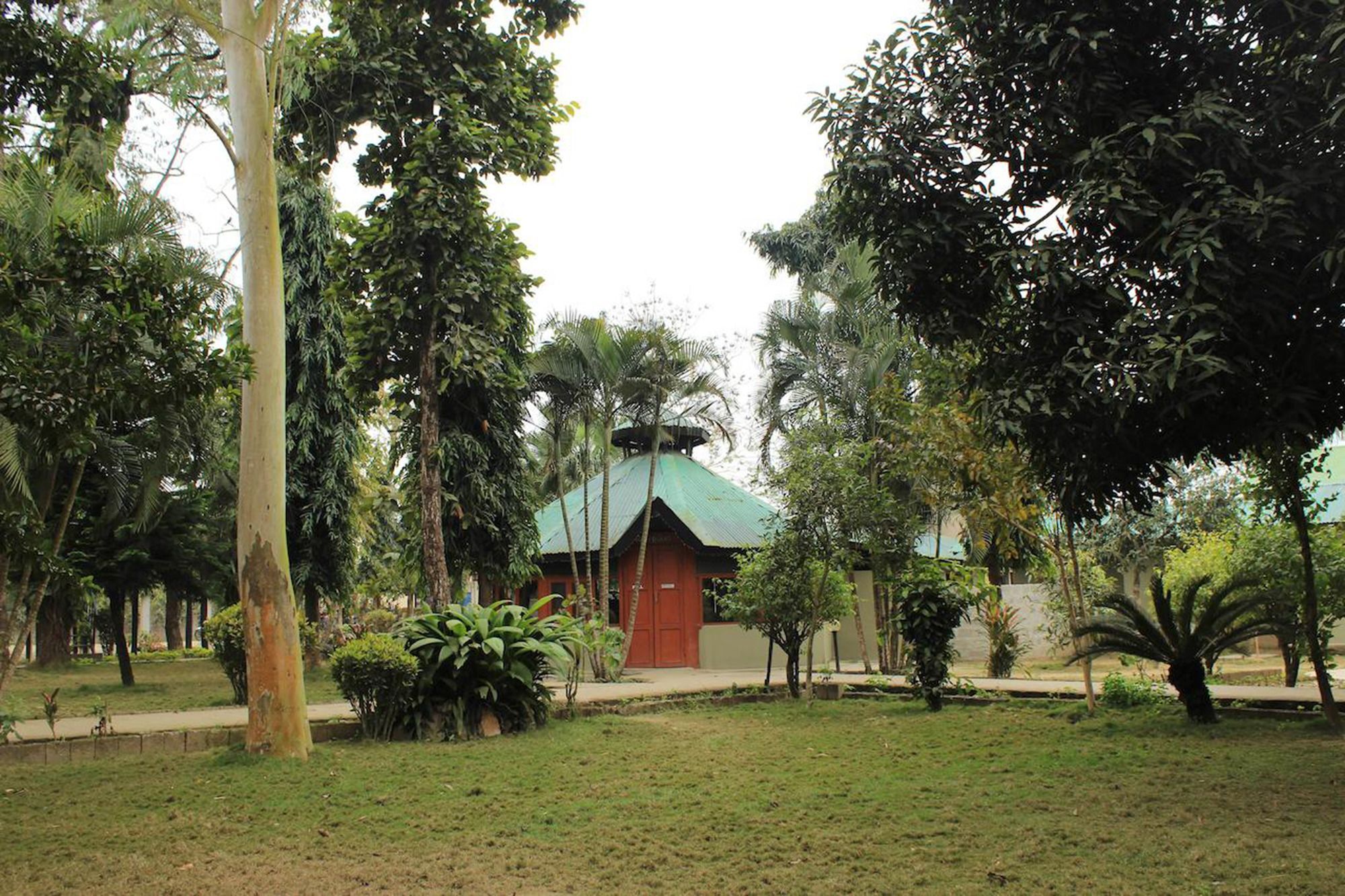 Unique Wild Resort Sauraha Bagian luar foto